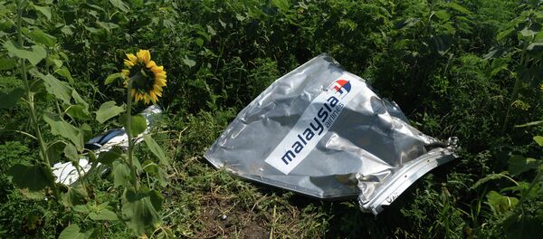 Сотрудники миссии ОБСЕ и эксперты работают на месте крушения малайзийского Boeing 777 - Sputnik Afrique