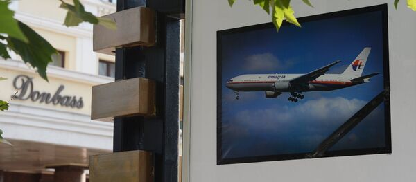 Crash du MH17 - Sputnik Afrique