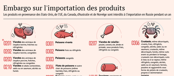 Les produits interdits à l'importation en Russie - Sputnik Afrique