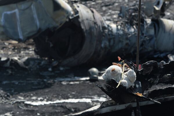 MH17: images des lieux du crash MH17: images des lieux du crash - Sputnik Afrique