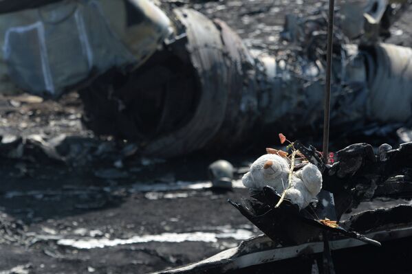 MH17: images des lieux du crash - Sputnik Afrique
