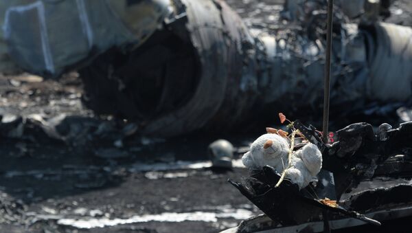 MH17: Ukraine, Malaisie et Pays-Bas ont pu s'entendre pour ne pas dévoiler les causes du crash - Sputnik Afrique