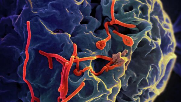 Virus Ebola - Sputnik Afrique