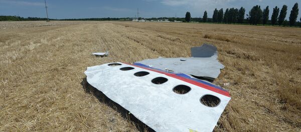 Un débris du Boeing 777 malaisien - Sputnik Afrique