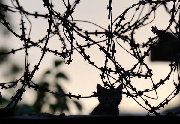 Ukraine: 184 jours de guerre - Sputnik Afrique