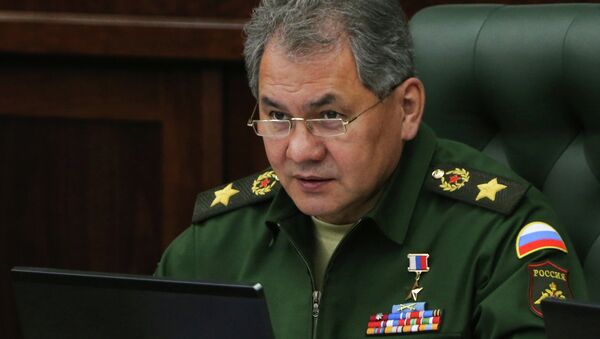 Sergueï Choïgou, ministre de la Défense de la Russie - Sputnik Afrique