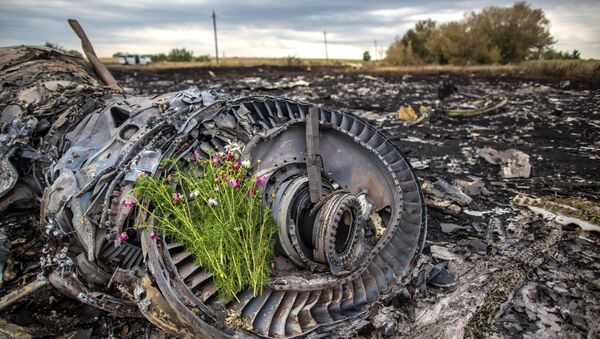 Le lieu du crash du Boeing 777 malaisien en Ukraine (archive photo) - Sputnik Afrique