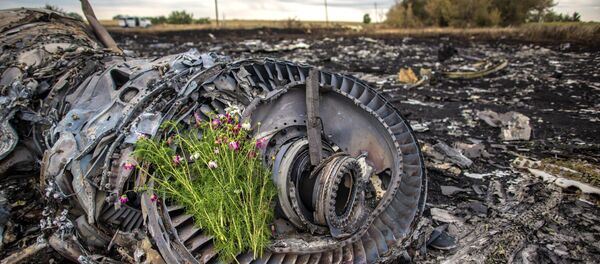 Boeing 777: les renseignements occidentaux connaissent les auteurs du crash (expert russe) - Sputnik Afrique