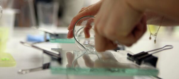 Исследования ДНК в лаборатории НИИ терапии СО РАМН - Sputnik Afrique