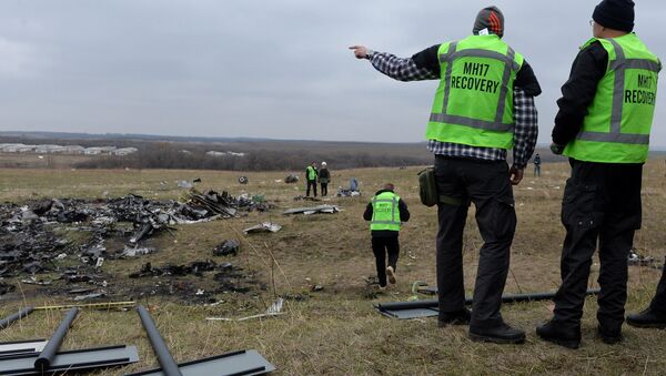 Crash du vol MH17: l'enquête durera éternellement(expert) - Sputnik Afrique