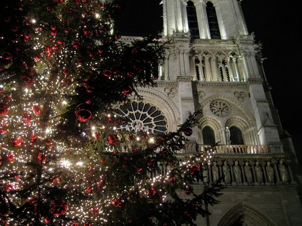 Cathédrale Notre-Dame: le sapin de Noël offert par la Russie - Sputnik Afrique