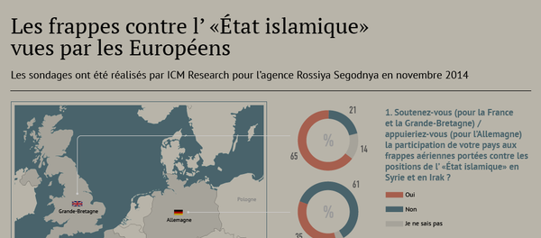 Lutte contre l'EI: les frappes aériennes vues par les Européens - Sputnik Afrique