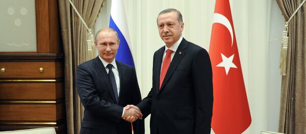 Рабочий визит В.Путина вТурцию - Sputnik Afrique