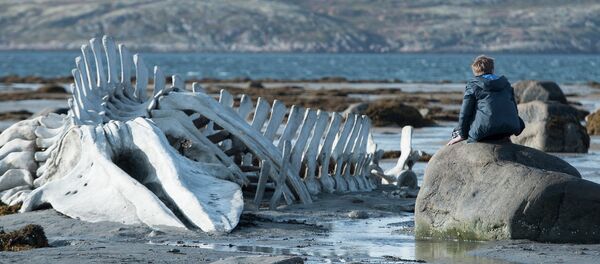 Image du film Léviathan - Sputnik Afrique