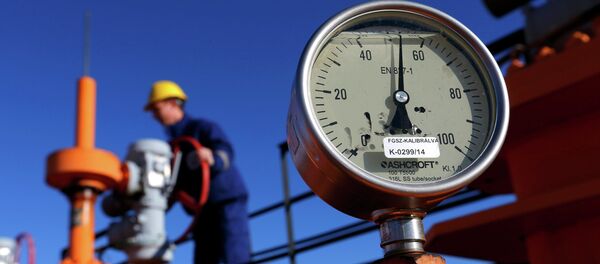 An engineer oversees the gas distribution system in Kiskundorozsma, 170 kilometres south of Budapest, January 15, 2015. - Sputnik Afrique