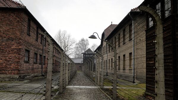 Auschwitz: rien ne justifie les mensonges (expert français) - Sputnik Afrique